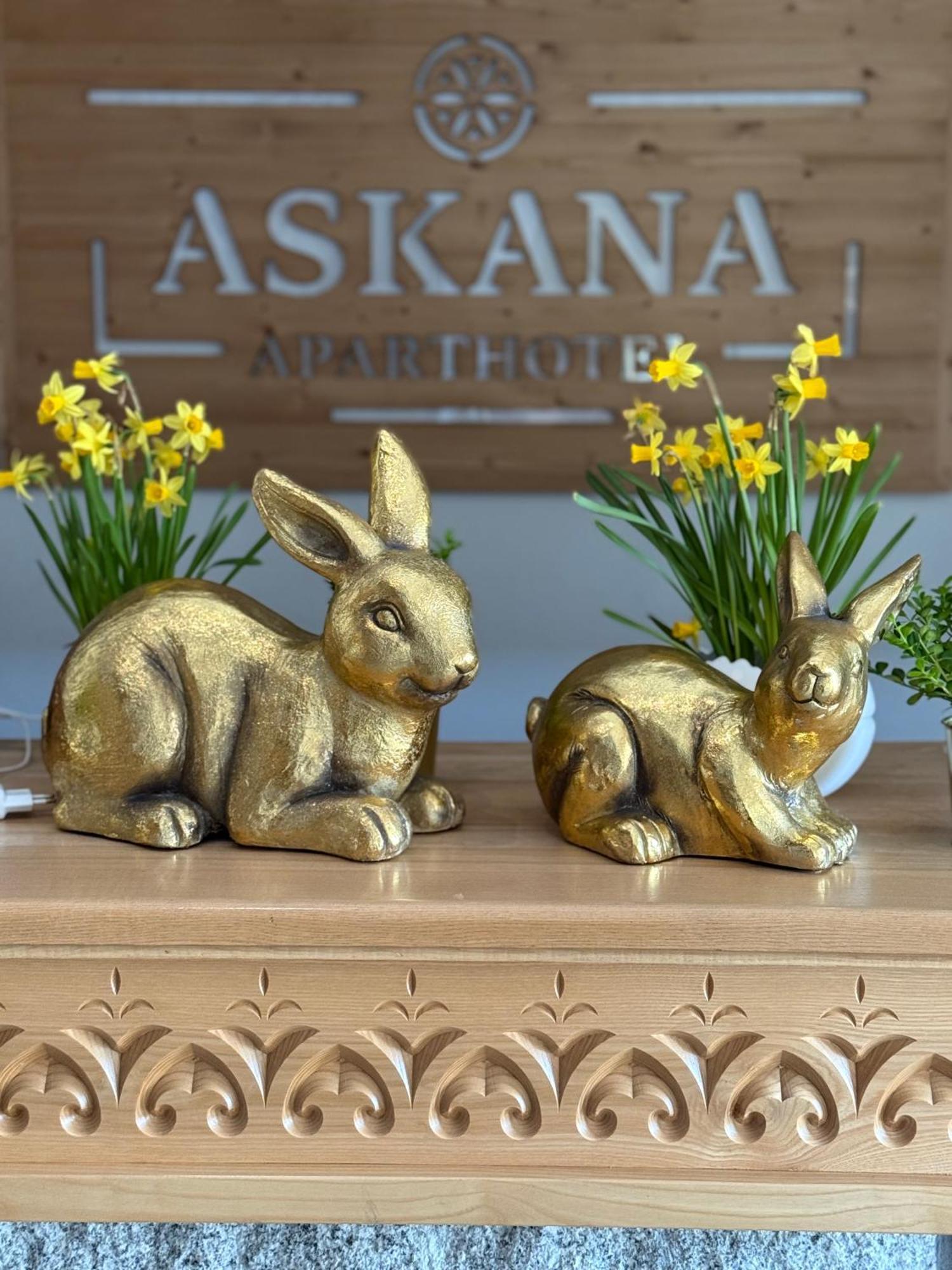 Askana - Basen, Sauny, Jacuzzi Nocleg ze śniadaniem *